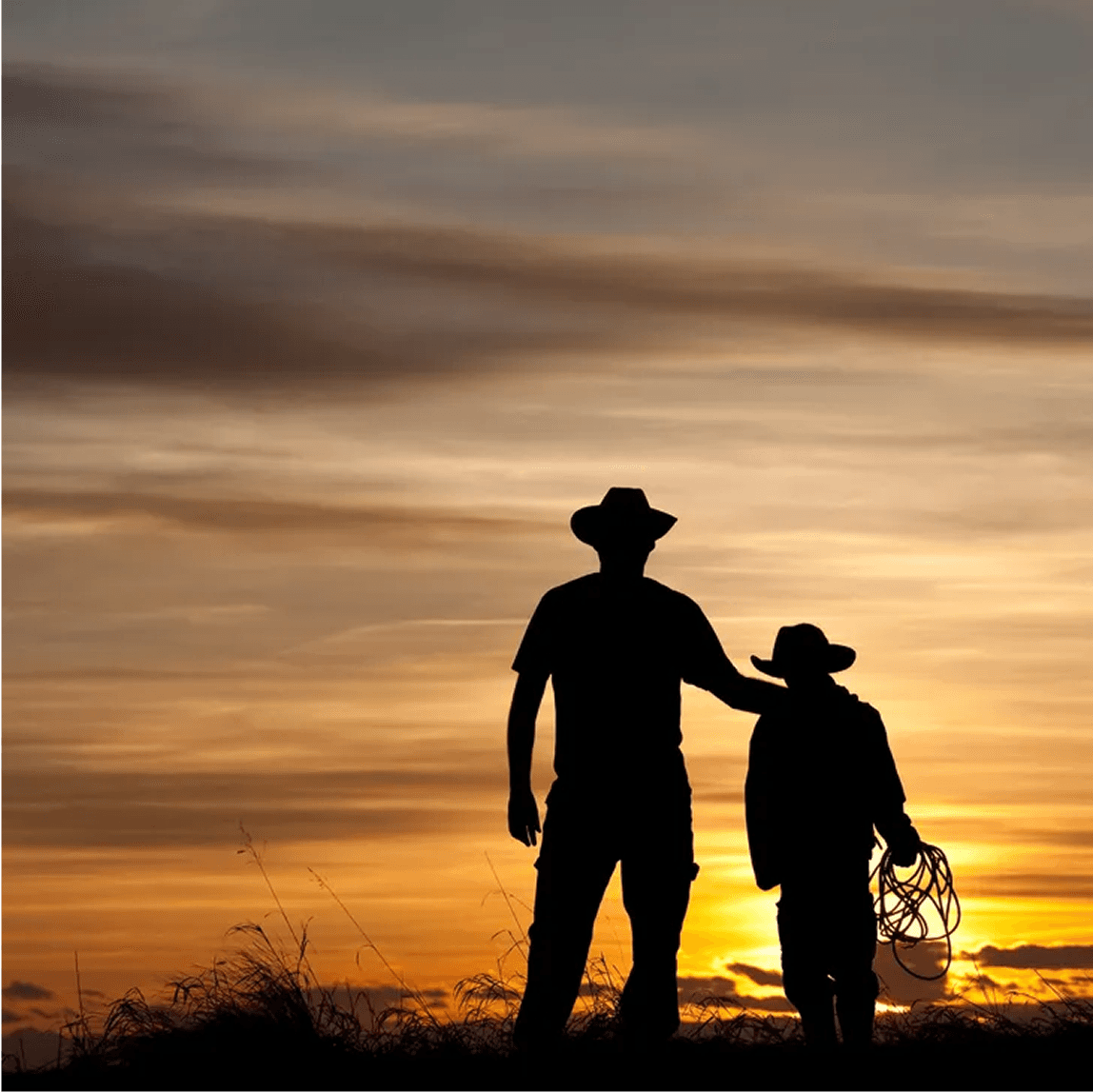 Davids Ark of Covenant